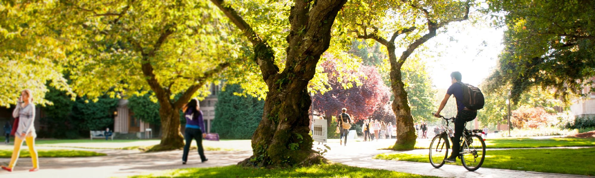 Master of Science in Speech-Language Pathology