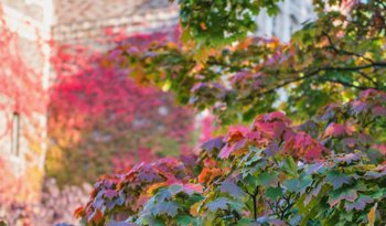 Online Master of Science in Construction Management