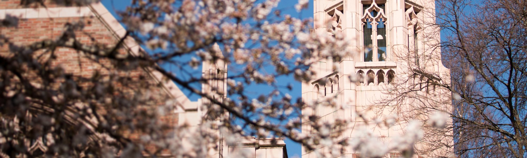 Online Master of Pharmaceutical Bioengineering
