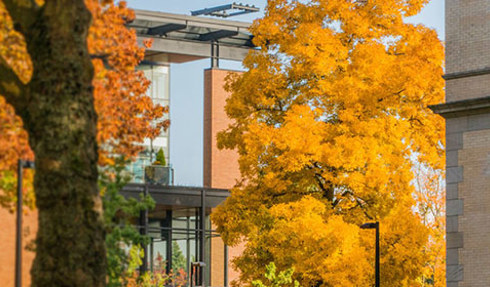 UW campus