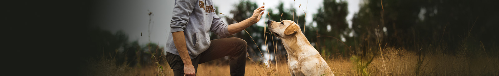 Applied Animal Behavior