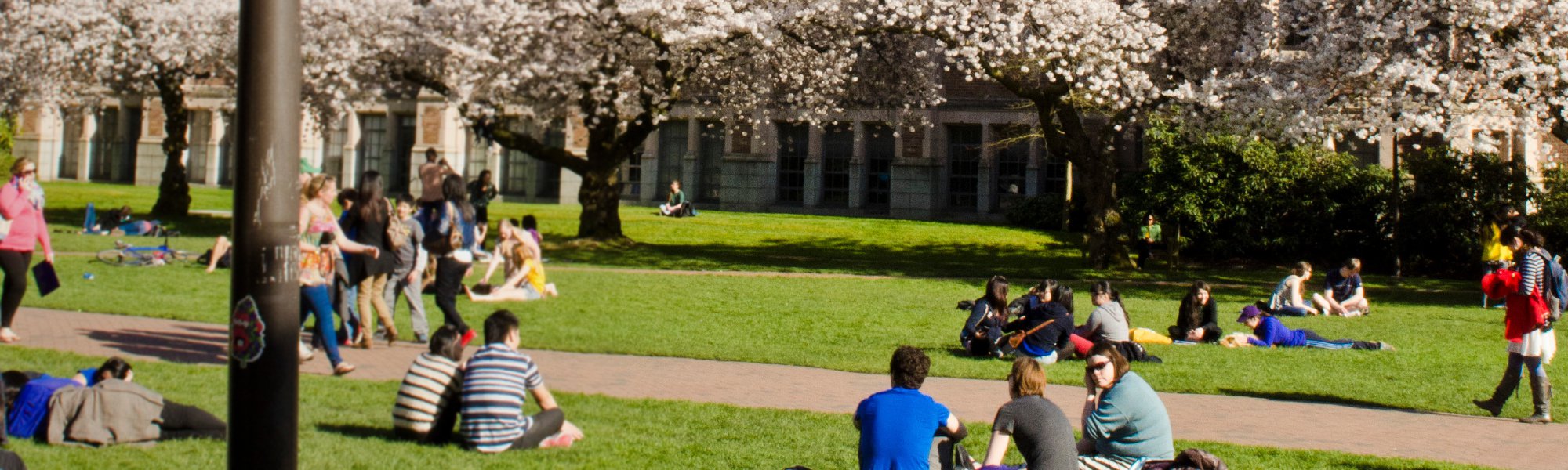 Online Master of Education in Special Education: Applied Behavior Analysis