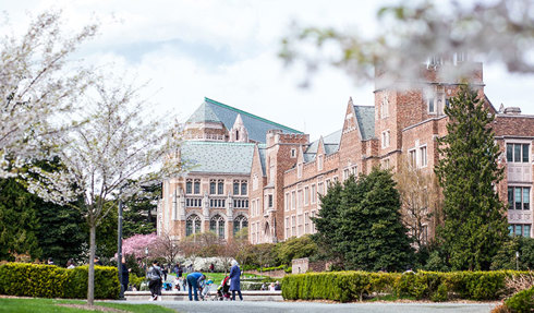 UW campus building and cherry blossoms