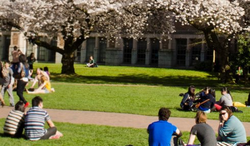 Master of Science in Information Management