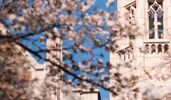 Online Master of Sustainable Transportation
