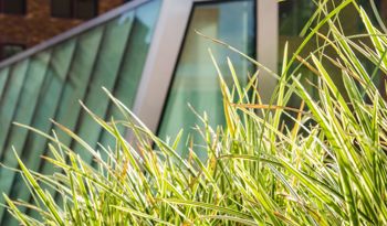 Master of Science in Mechanical Engineering